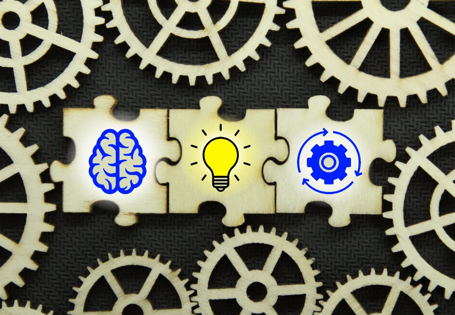 insights